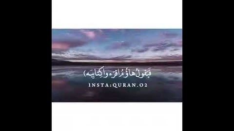 آيات من الذكر الحكيم
