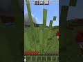 how to fly from land with elytra | #viral #minecraft #shortvideos #viral   #fly | @Shivamplayzon