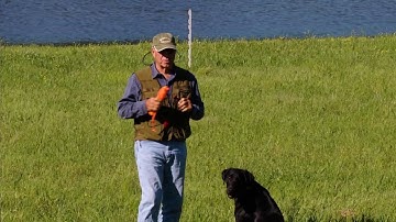 The Importance of Handling at an early age