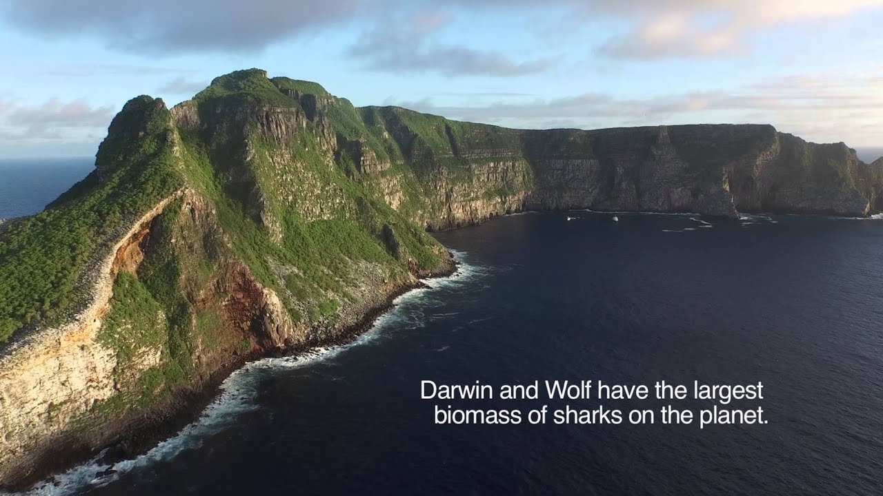New Galápagos Sanctuary