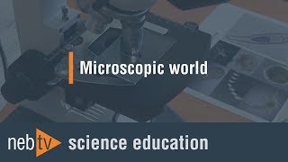 Kid Science - Microscopic world