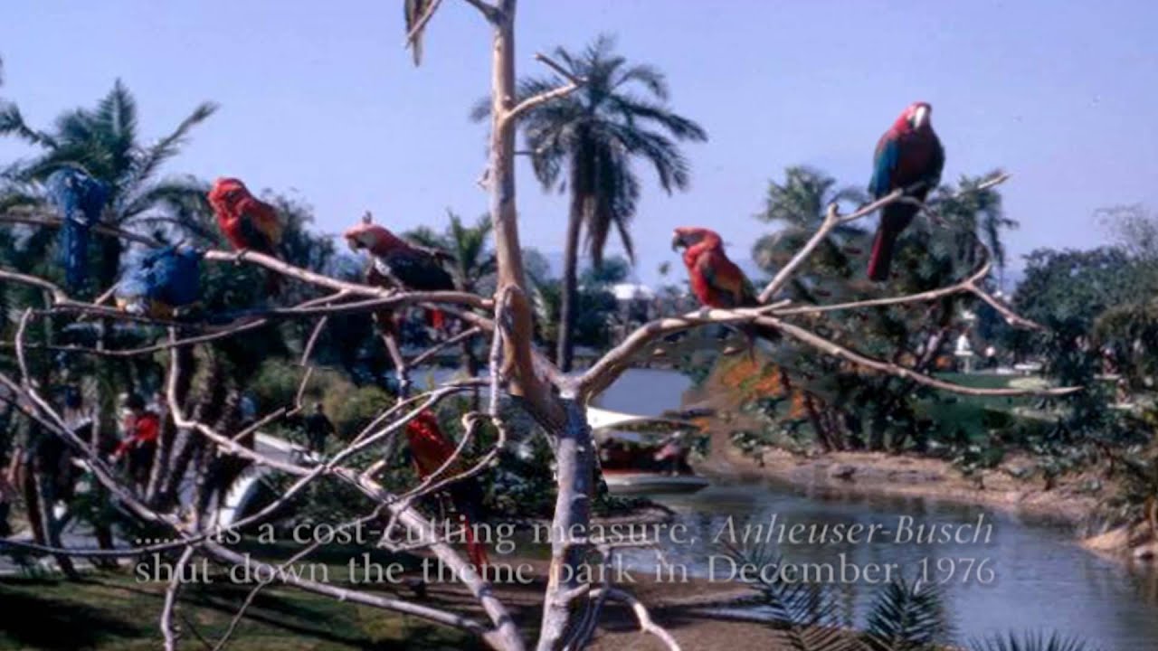 Baby Boomers Tribute Busch Gardens Bird Sanctuary Van Nuys San