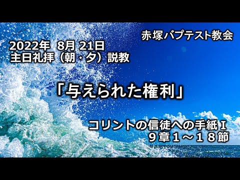 2022年8月21日(日)（朝・夕）赤塚教会礼拝説教「与えられた権利」コリントの信徒への手紙Ⅰ 9章1～18節