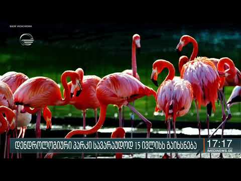 შეკვეთილის დენდროლოგიური პარკი სავარაუდოდ 15 ივლისს ოფიციალურად გაიხსნება