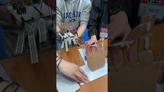 IMG 8713