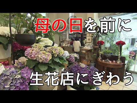 カーネーションだけでなくアジサイやバラも人気！母の日を前に生花店