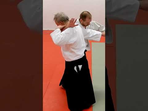 Aikido KAESHIWAZA, counter