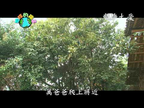 大愛電視DaAiTV_地球的孩子24分版_第619集  菅芒花女孩_Part 1