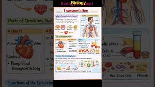 #gk #india #education #class9th #class10 #cbseboard #viralvideo #viralshorts #biology #ytshorts