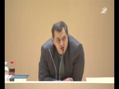დავით ბერძენიშილის გამოსვლა საქართველოს პარლამენტის პლენარულ სხდომაზე