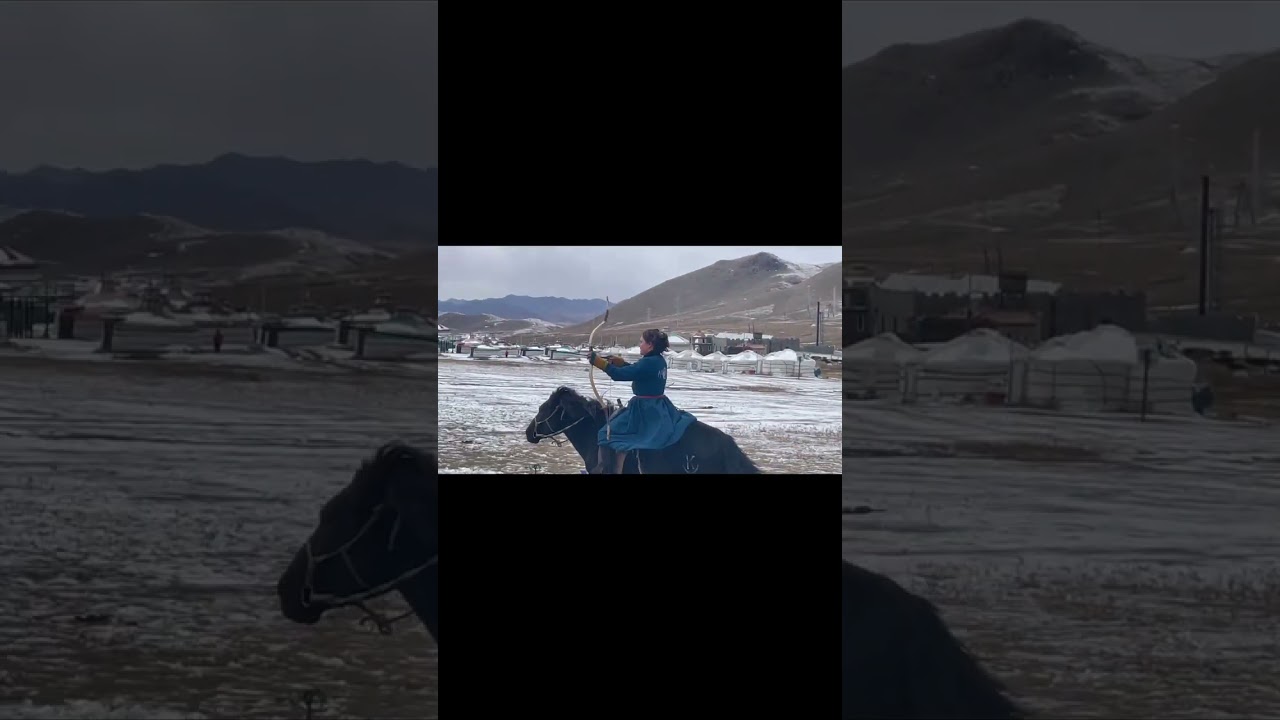 demo cheval