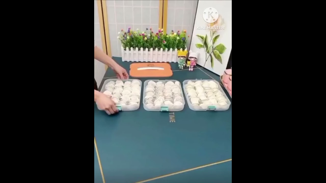 контейнер для хранения манты и пельмени