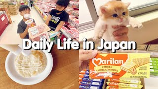 Daily Life in Japan | Japan cheap supermaket by Bee Abe 157 views 2 years ago 17 minutes