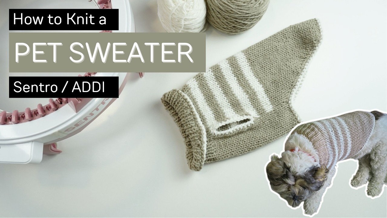 Как быстро связать свитер для собаки для начинающих на круговой вязальной машине Sentro или Addi