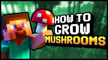 How to Grow Mushrooms in Minecraft | Minecraft Server Hosting
