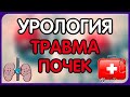 Урология.  Лекция 11. Травма органов мочеполовой системы. Травма почек.