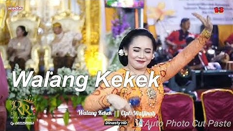 Walang Kekek