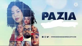 PAZIA MAISHAMAGIC BONGO  lyrics video