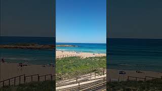 FIG tree bay in March!!