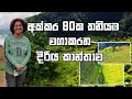 තනිව ජීවිතය ජයගත් දිරිය ගැහැණියක් | Shyamali Green Farm | Nuwaraeliya | Srilanka