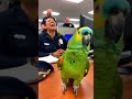 Parrot Says: I will protect our love 😂🦜