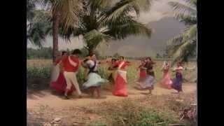 Sankar Guru - Kumbakonamey Konum song
