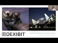 Webinar: Visitor experience innovation