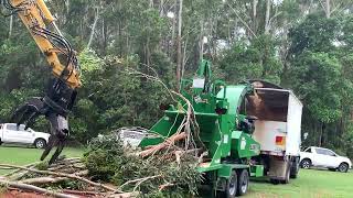 Raw footage Bandit 20XP-HD whole tree chipper in Australia by Tree Care Machinery - Bandit, Hansa, Cast Loaders 465 views 2 months ago 15 seconds