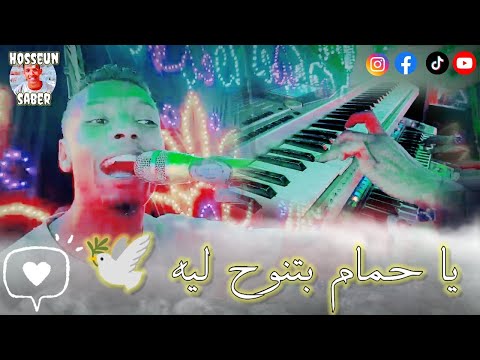 يا حمام بتنوح ليه لؤي صحافه 2026 الابداع مستمر