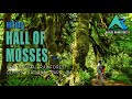 Hall of Mosses Trail | A Unique Nature Walk Experience | Hoh Rainforest, Washington