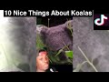 I’m Sorry Koalas