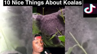 I’m Sorry Koalas