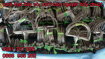 cạm bán nguyệt ,cạm kẹp bẫy cò bẫy vạc , bẫy chuột giá rẻ  8 k LH