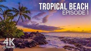 Tropical Beach Ambience 4K - Ocean Waves Sound, Bird Singing & Amazing Sunset Colors - Part 1