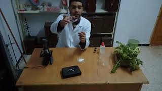 دراسة الخلية بالمجهر الضوئي (ملاحظة خلايا البشرة الخارجية لحرشفة البصل)