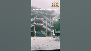 Top 5 địa điểm check in cực hot ở Tam Đảo