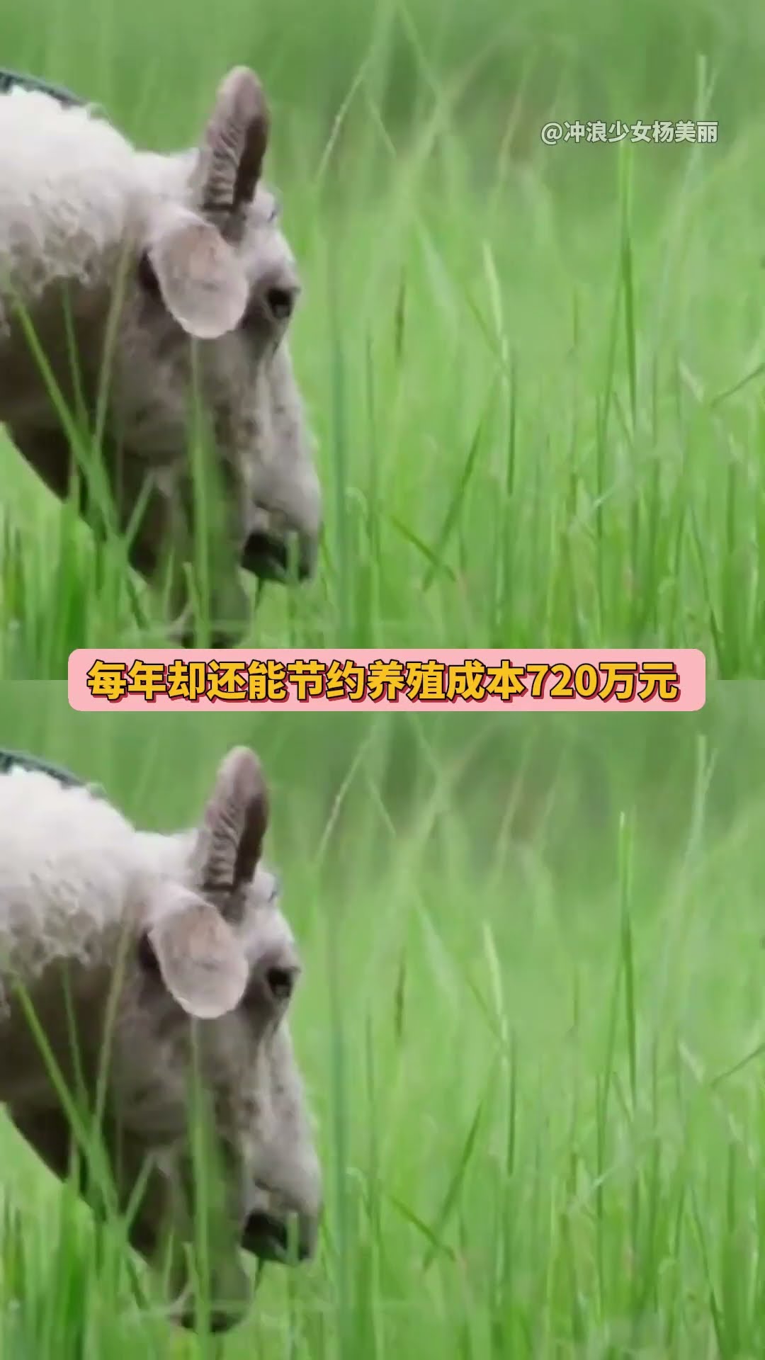 Re: [新聞] 歐美陷「憤世嫉俗」！黃仁勳：中國憑兩大