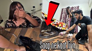 Omg Flat Mai Saap Nikal Aaya Albadi Vlogs