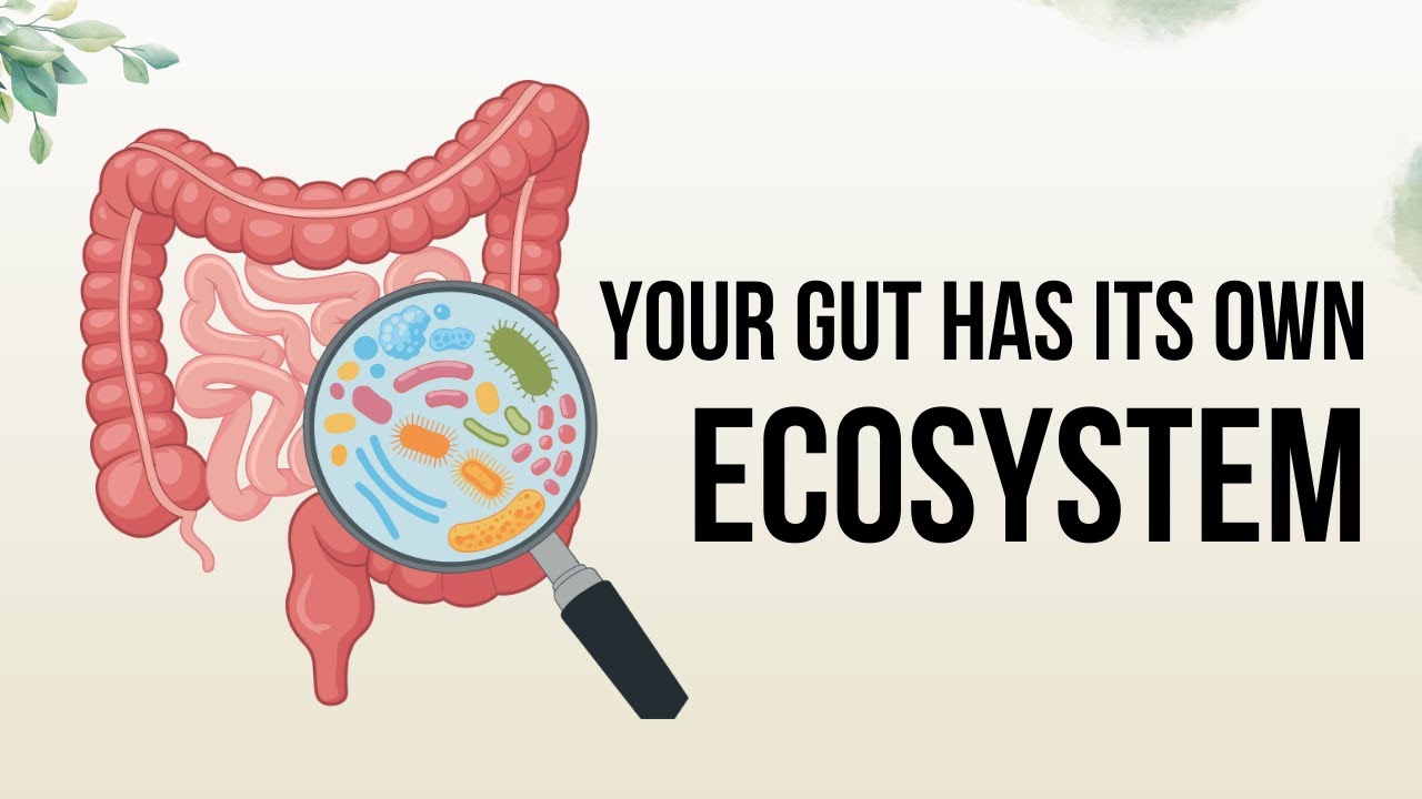 You Are an Ecosystem: The Science of the Gut Microbiome - YouTube