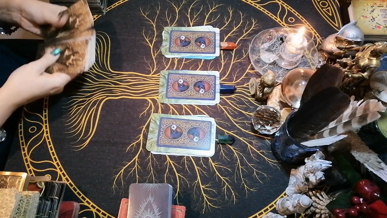 Моя СВЕКРОВЬ. Что Думает? Что Делает?