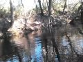 Paddling on the Alapaha River