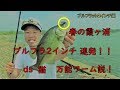 2018年 4月 春のバス釣り 霞ヶ浦 デプス ブルフラット2インチ 使ったら万能説。