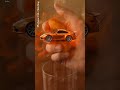 Unboxing ASMR Clay | From one color to another - Great satisfying sounds (00:09 seconds)