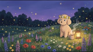 Twilight Glow ✨ Firefly Meadow Lofi to unwind & drift off to 🌙