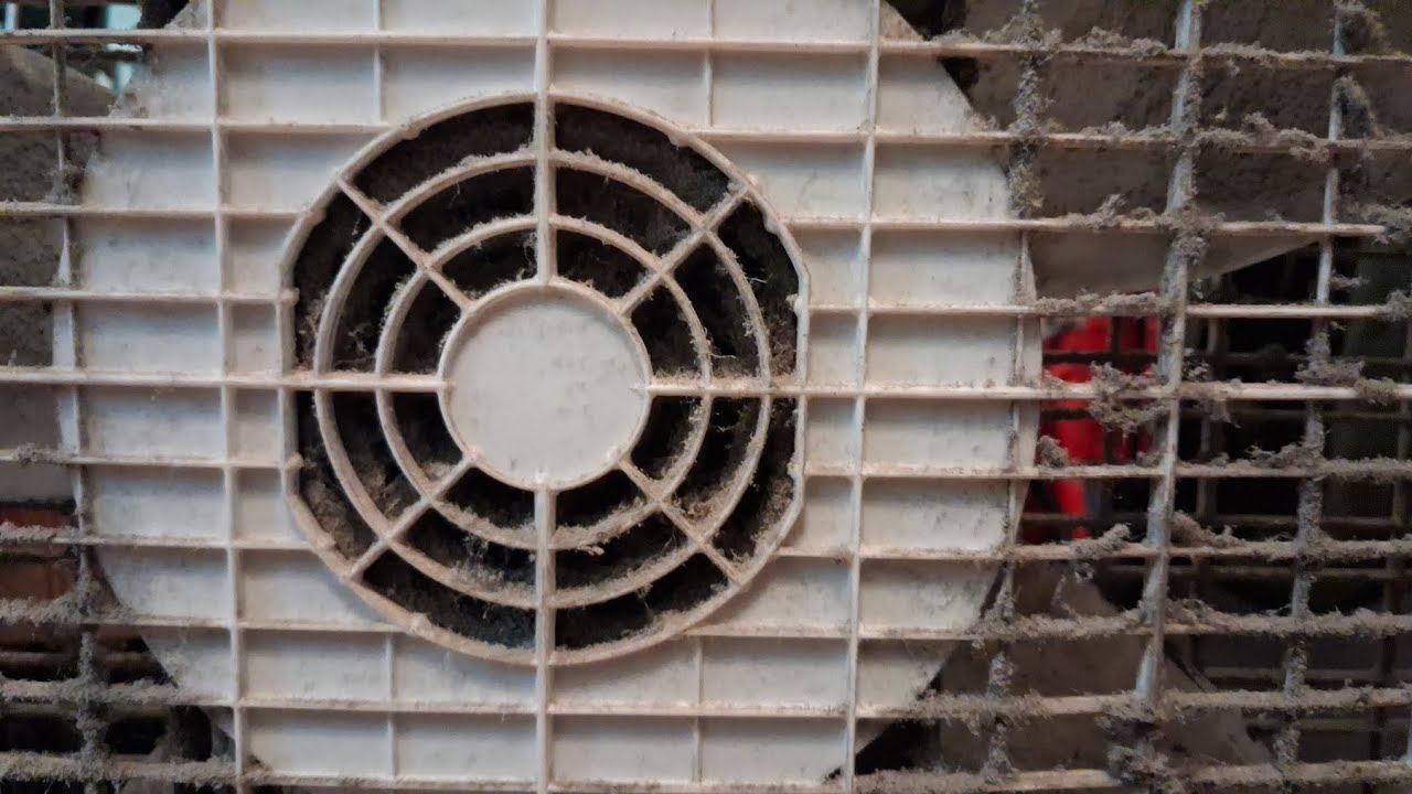 Filthy Lasko 3733 Box Fan Initial Checkout 