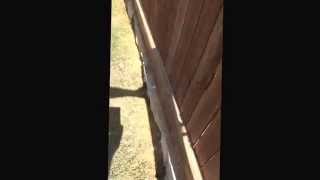 Arcadian Homes Review Videos