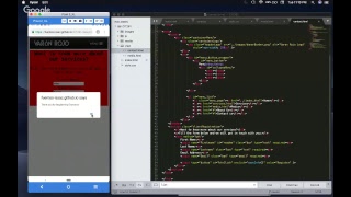 CIT 261 - Site Functionality Video