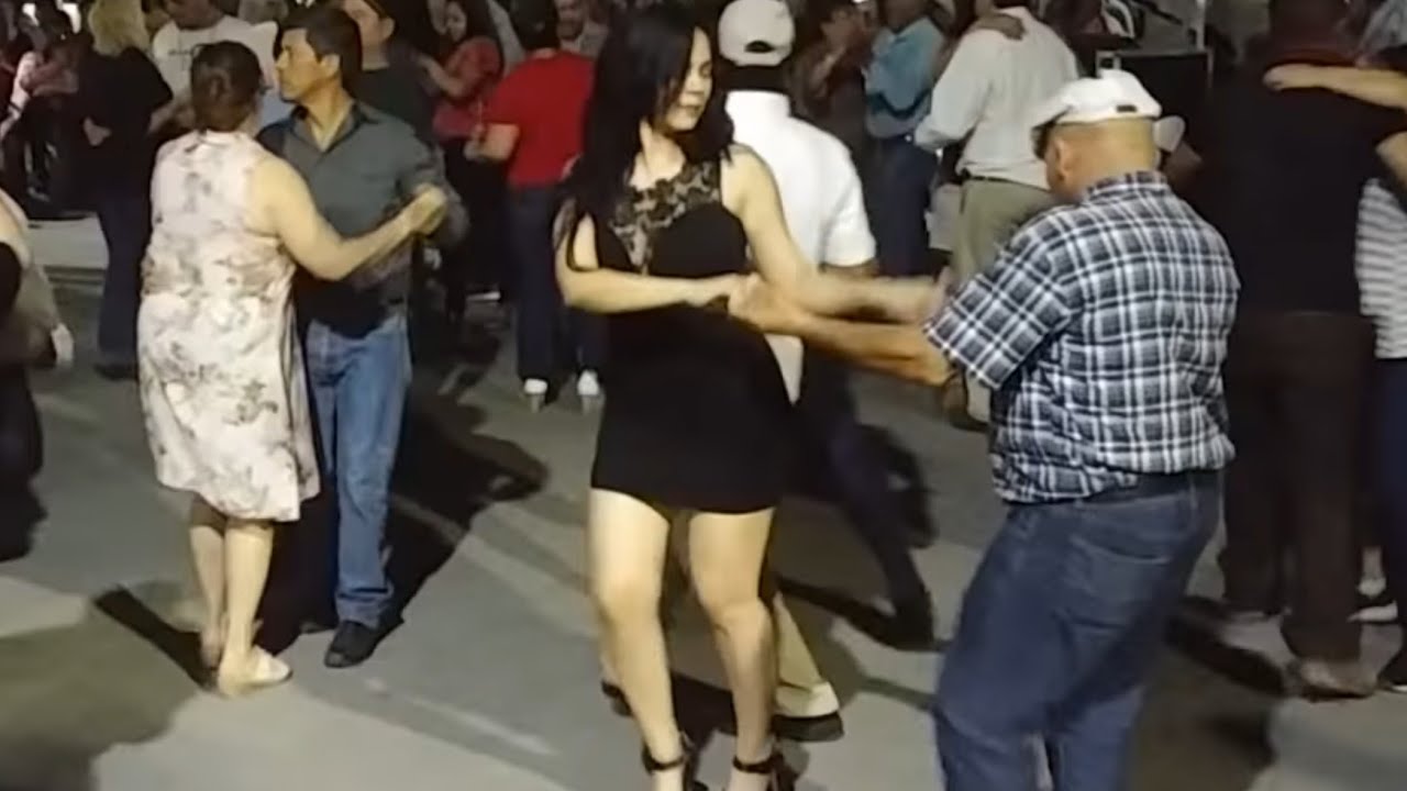 🎼Me roba me roba el oso polar🎶