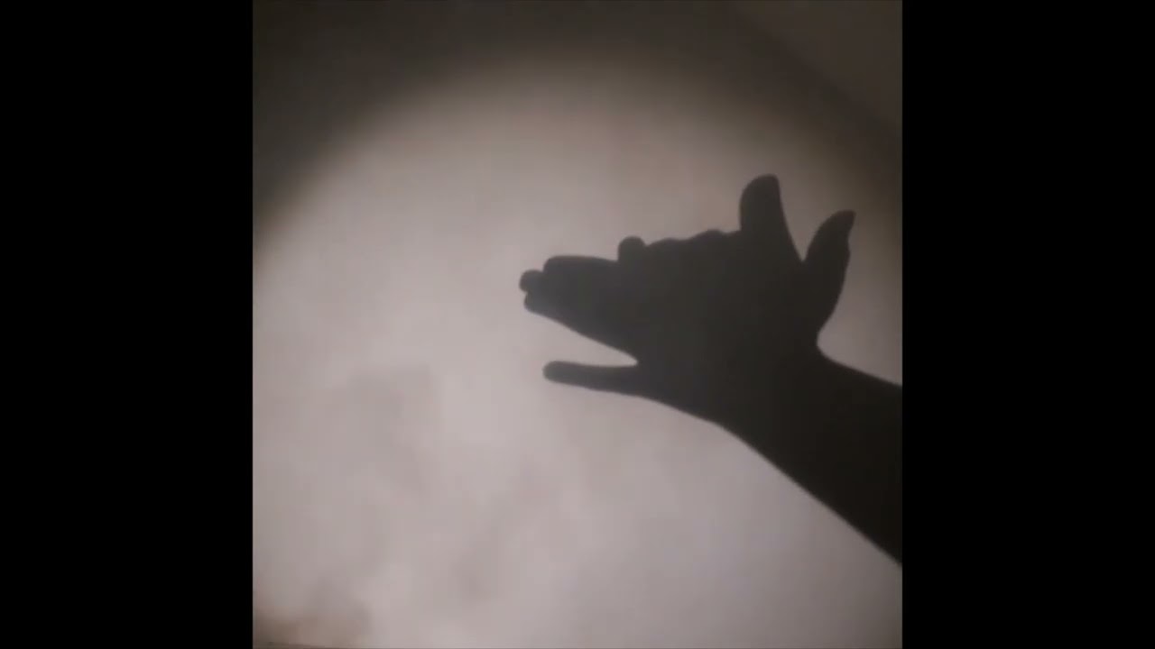 shadow animals