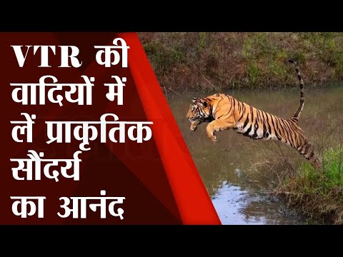 Valmiki Nagar Tiger Reserve : वाल्मीकि नगर की खूबसूरत वादियों में लें प्रकृति का आनंद 1 Tiger Reserve : Valmiki Nagar की वादियों में लें प्राकृतिक सौंदर्य का आनंद | Tourism |Prabhat Khabar
